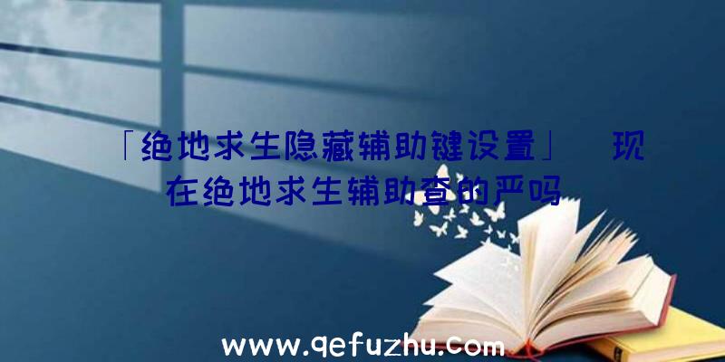 「绝地求生隐藏辅助键设置」|现在绝地求生辅助查的严吗